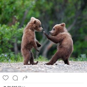 Meet your Posher, Dawn